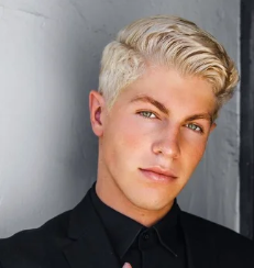 Ben Azelart Net Worth