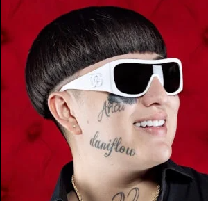 Dani Flow Net Worth