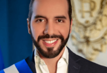 Bukele Net Worth