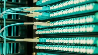 internet network for growth