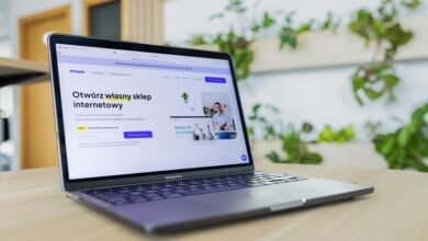 professional online modeling services