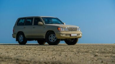 reliable stability model online